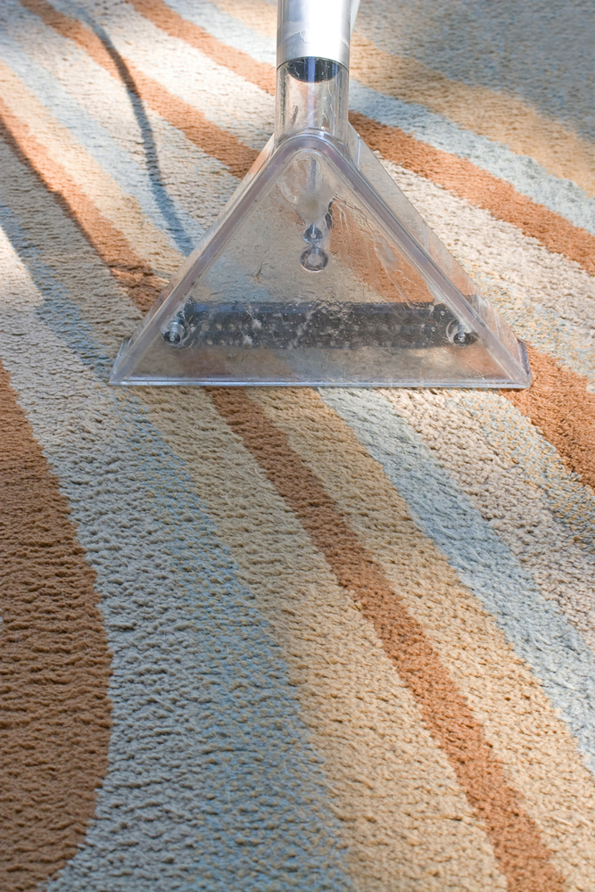 Professional carpet cleaning service in Berlin Township NJ