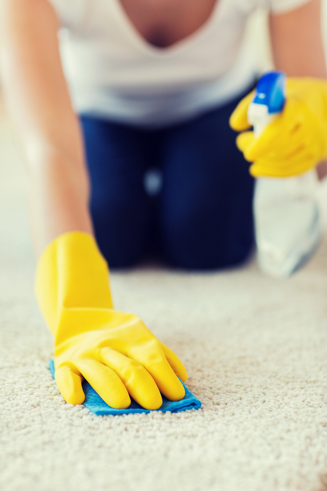 Professional tile and grout cleaning service in Berlin Township