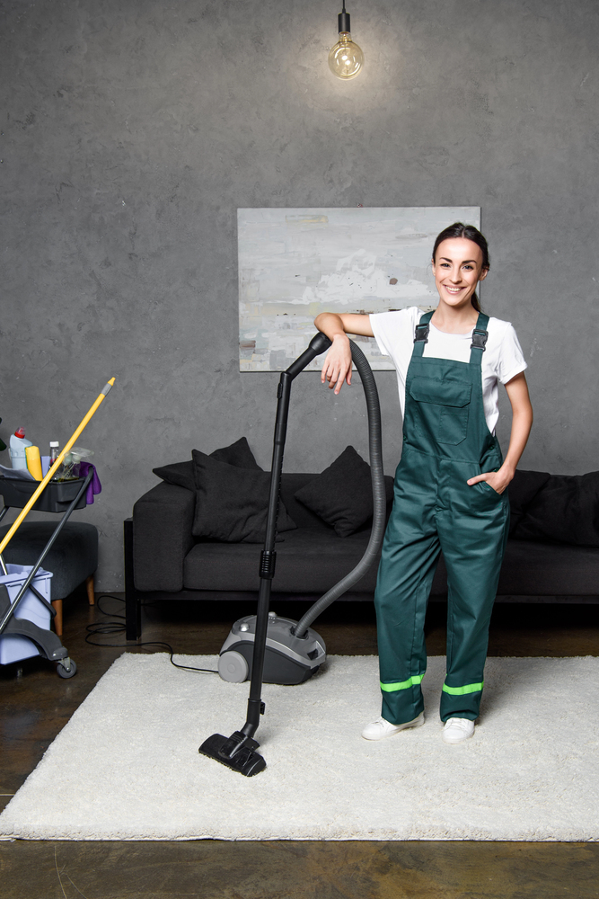 Upholstery and rug cleaning services in Berlin Township